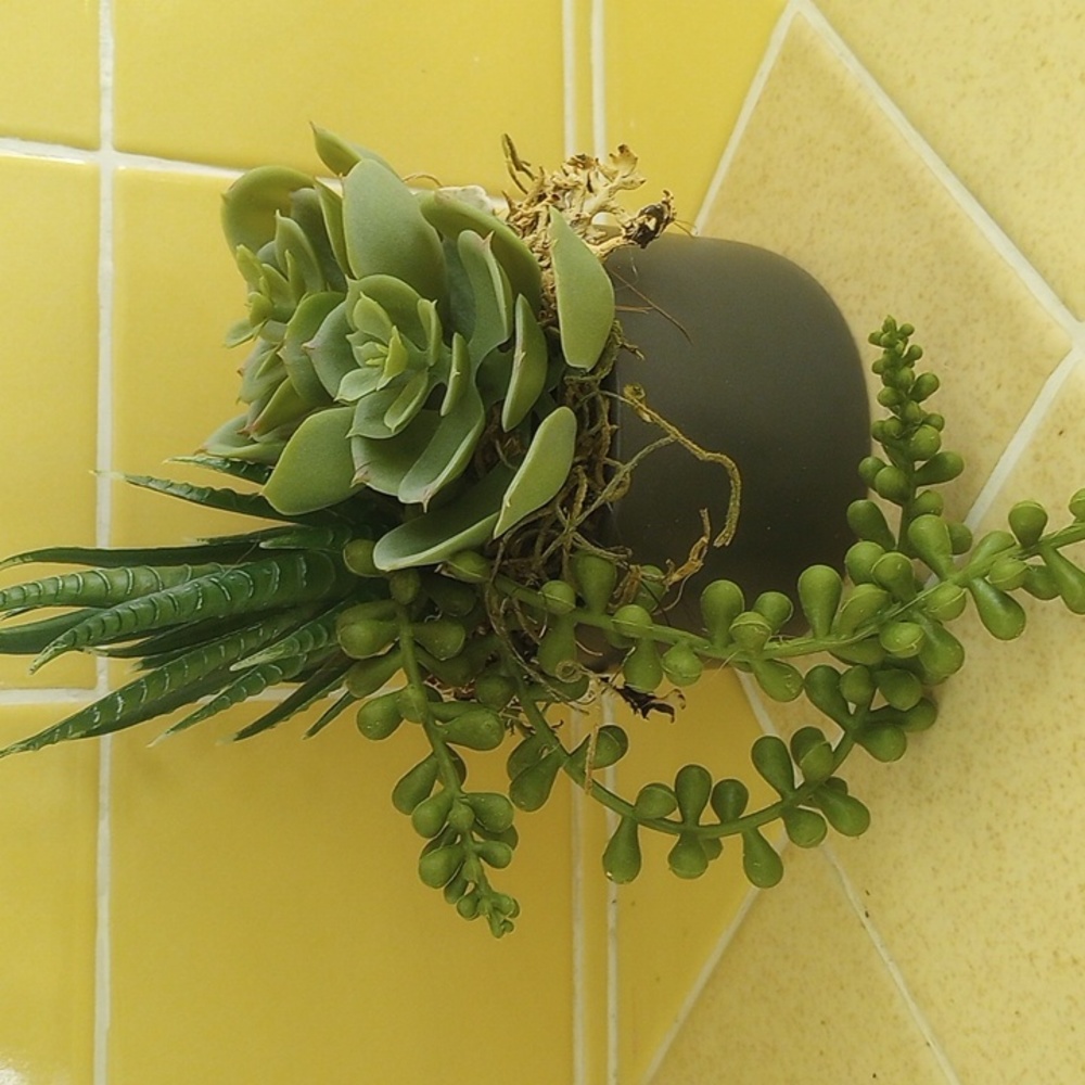 Succulent planter